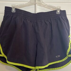 Woman’s size large Champion duodry shorts in excellent condition
ITEM #34